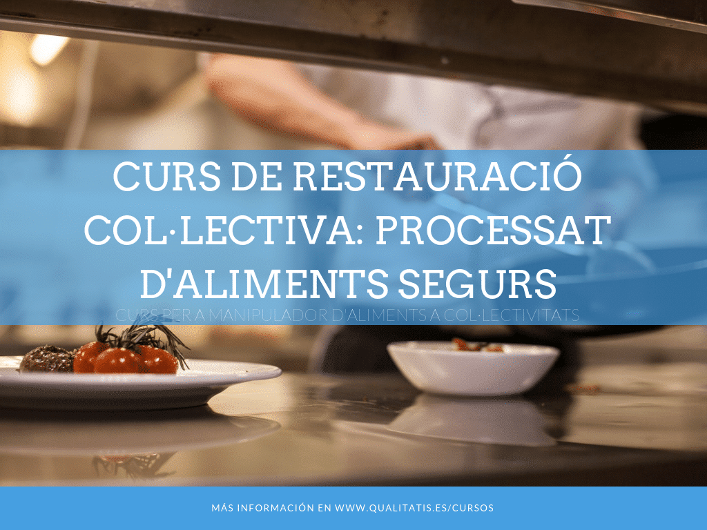 Curs de Restauració Col·lectiva. Processat d'aliments segurs