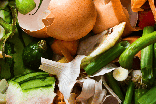 Read: Novetats i ampliació d’informació en la lluita contra el malbaratament d’aliments.