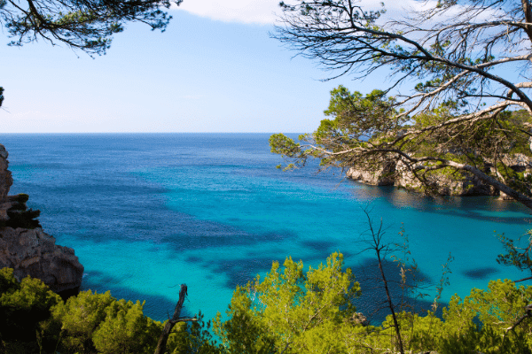 Read: Com aconseguir el carnet de manipulador d’aliments a les Illes Balears.
