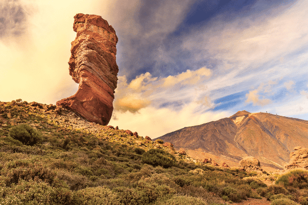 Read: Curs de manipulador d’aliments a Tenerife.