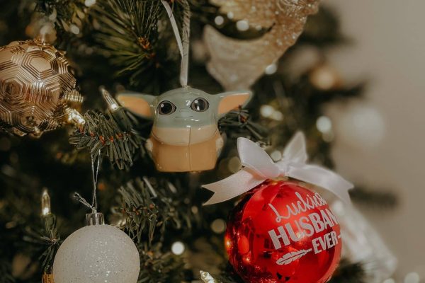 Seguridad alimentaria en Navidad