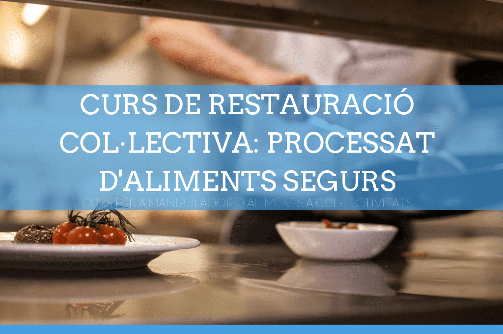 Curs de Restauració Col·lectiva. Processat d'aliments segurs